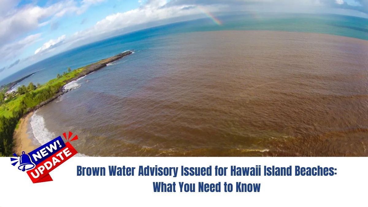 Brown Water Advisory Issued for Hawaii Island Beaches: What You Need to Know